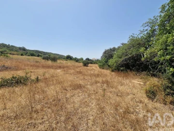 Terreno para Venda em Santa Barbara de Nexe