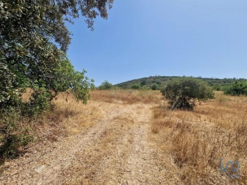 Terreno para Venda em Santa Barbara de Nexe