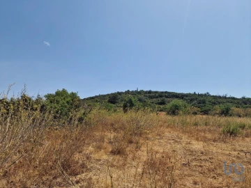 Terreno para Venda em Santa Barbara de Nexe
