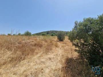 Terreno para Venda em Santa Barbara de Nexe
