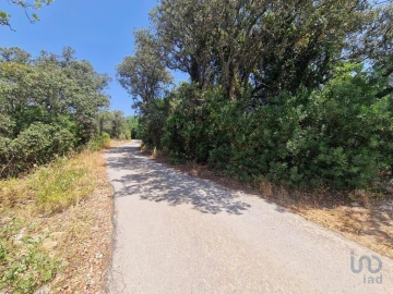 Terreno para Venda em Santa Barbara de Nexe