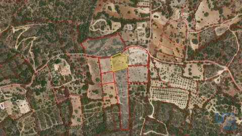 Terreno para Venda em Santa Barbara de Nexe