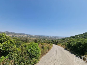 Terreno para Venda em Santa Barbara de Nexe