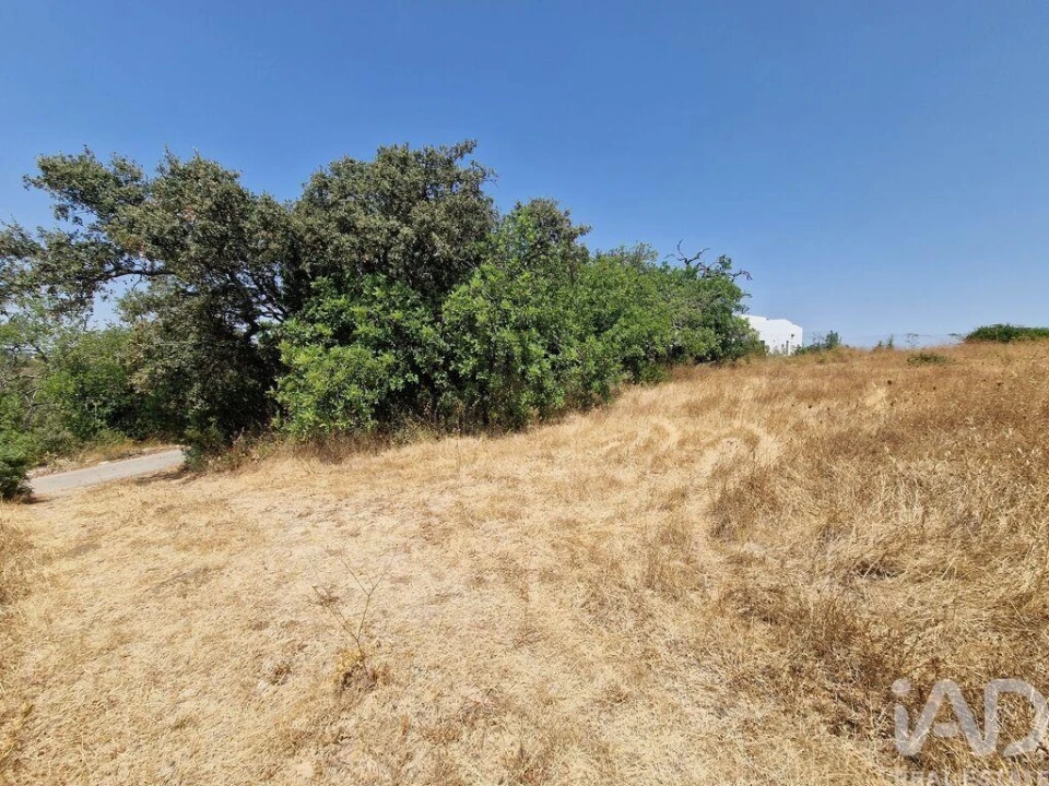 Terreno para Venda em Santa Barbara de Nexe Foto 15