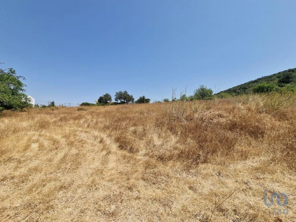 Terreno para Venda em Santa Barbara de Nexe Foto 10