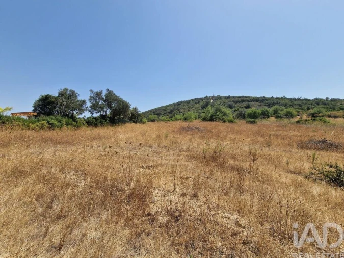 Terreno para Venda em Santa Barbara de Nexe Foto 20