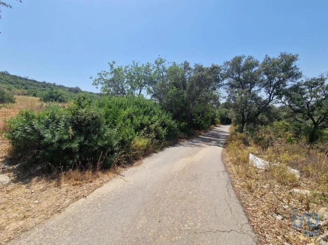 Terreno para Venda em Santa Barbara de Nexe Foto 3