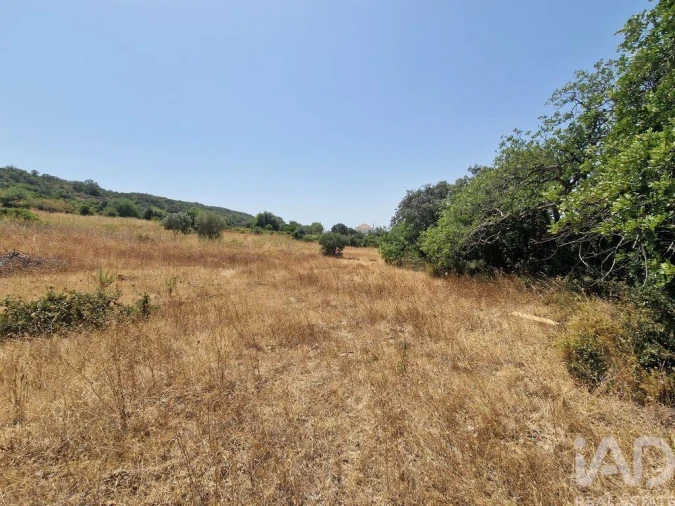 Terreno para Venda em Santa Barbara de Nexe Foto 19