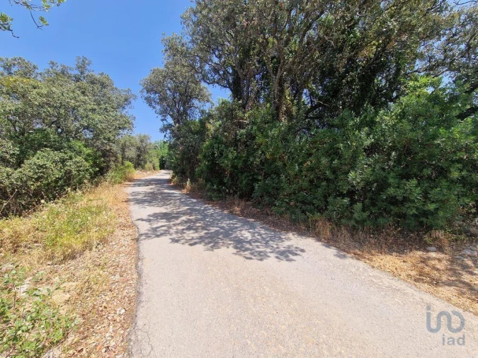 Terreno para Venda em Santa Barbara de Nexe Foto 2