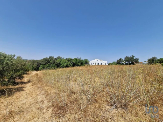 Terreno para Venda em Santa Barbara de Nexe Foto 12