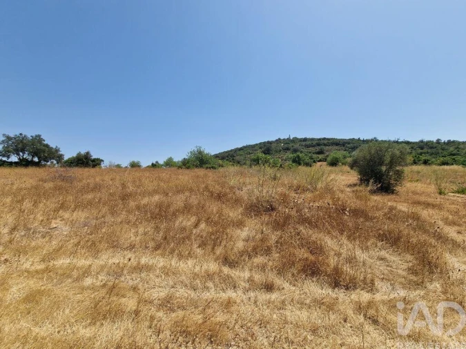 Terreno para Venda em Santa Barbara de Nexe Foto 17