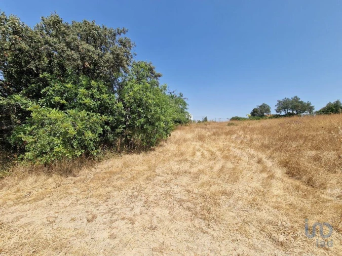 Terreno para Venda em Santa Barbara de Nexe Foto 9