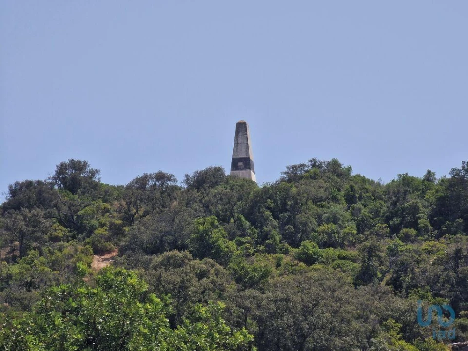 Terreno para Venda em Santa Barbara de Nexe Foto 14