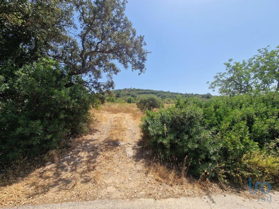Terreno para Venda em Santa Barbara de Nexe Foto 6