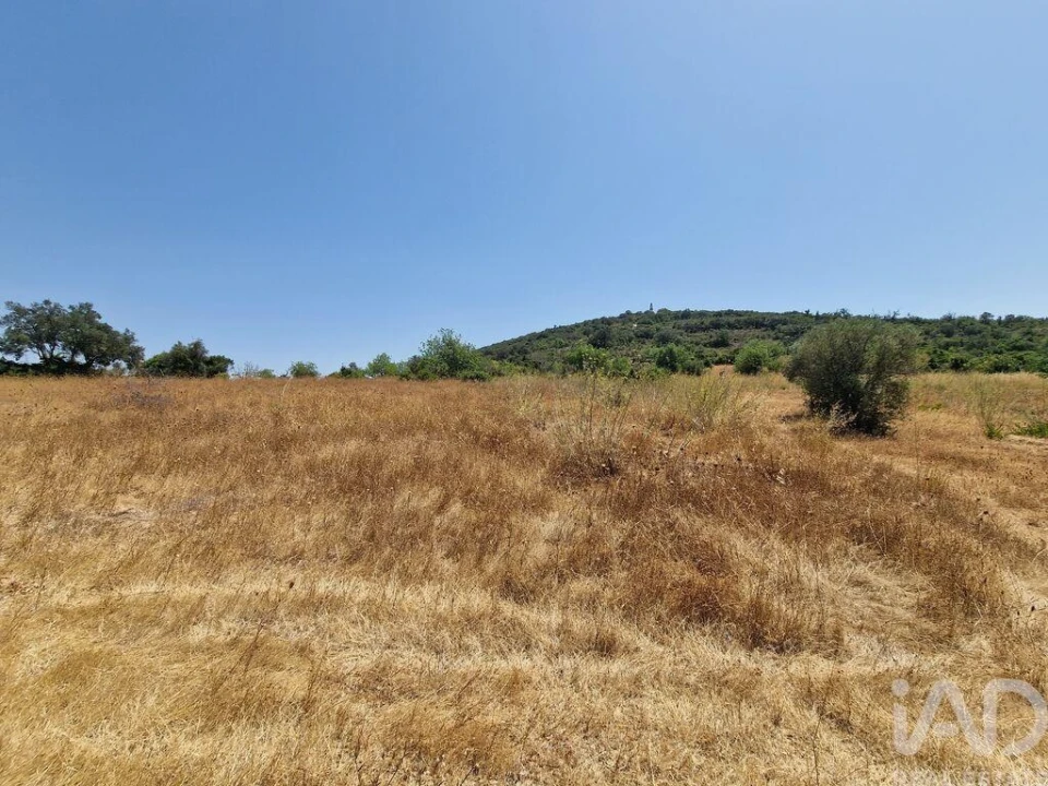 Terreno para Venda em Santa Barbara de Nexe Foto 17