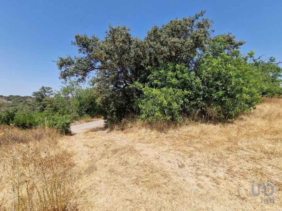 Terreno para Venda em Santa Barbara de Nexe Foto 8