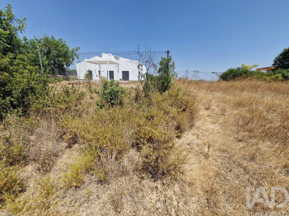 Terreno para Venda em Santa Barbara de Nexe Foto 18