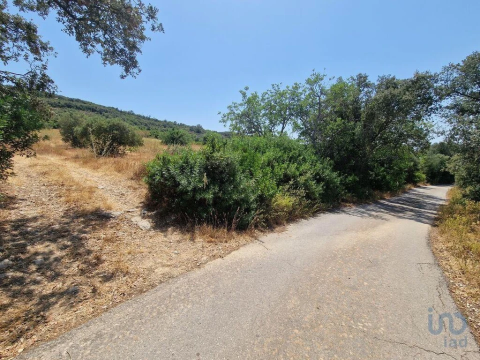 Terreno para Venda em Santa Barbara de Nexe Foto 5