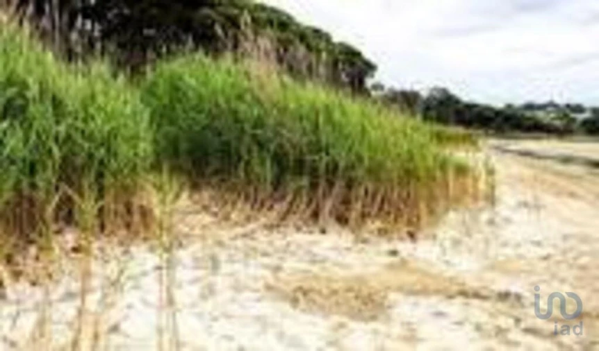 Terreno para Venda em Sesimbra (Castelo) Foto 6