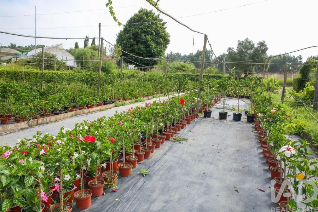 Loja para Venda em Ramalhal Foto 23