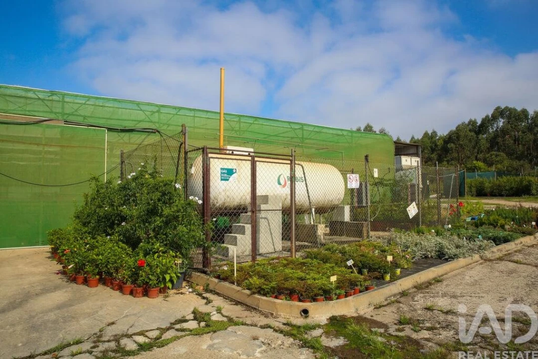 Loja para Venda em Ramalhal Foto 25