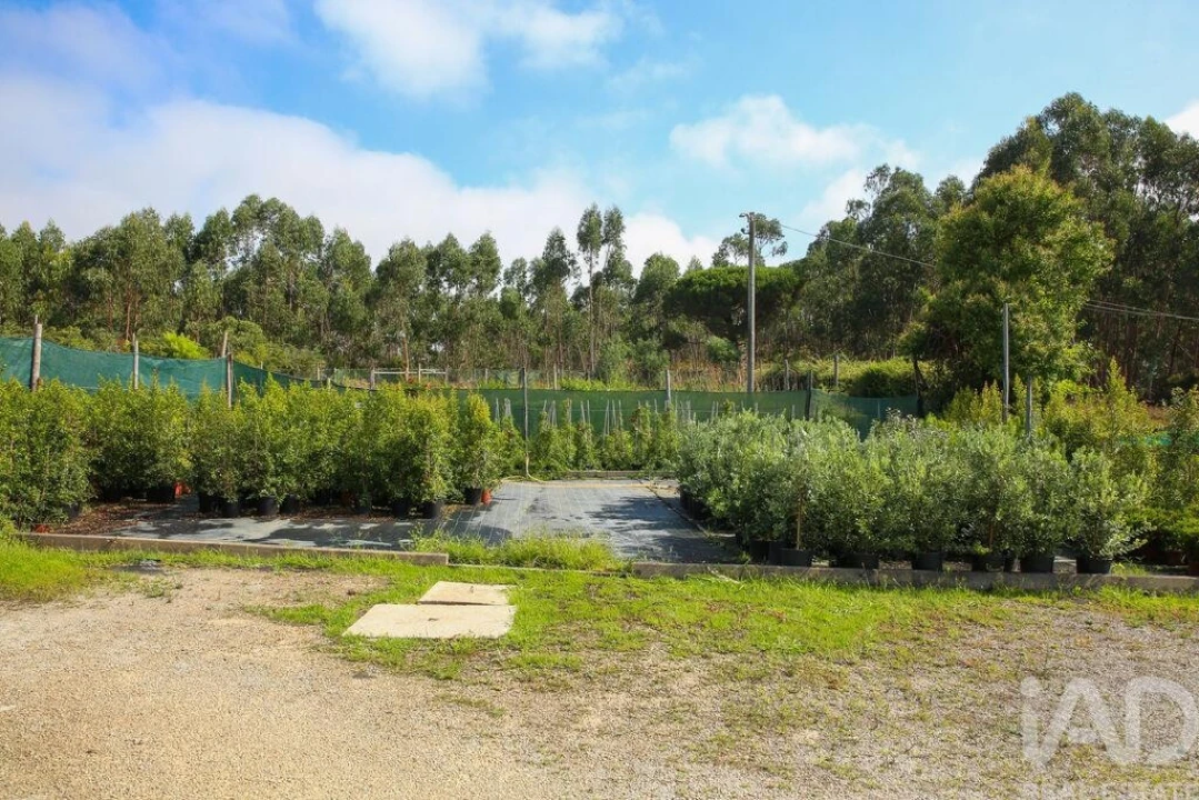 Loja para Venda em Ramalhal Foto 17