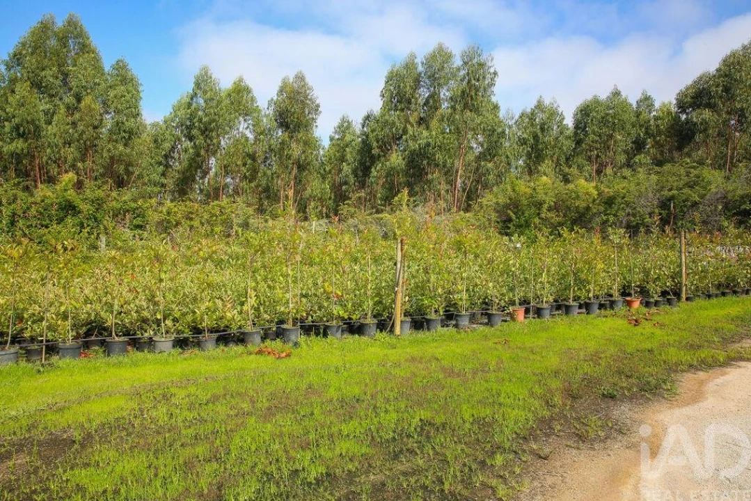 Loja para Venda em Ramalhal Foto 19