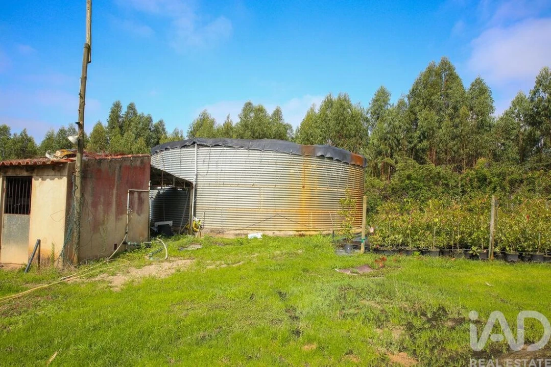 Loja para Venda em Ramalhal Foto 18