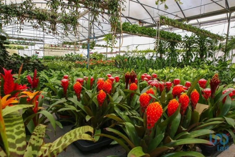 Loja para Venda em Ramalhal Foto 12