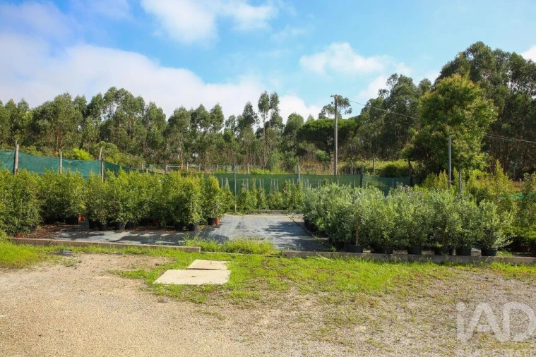 Loja para Venda em Ramalhal Foto 17