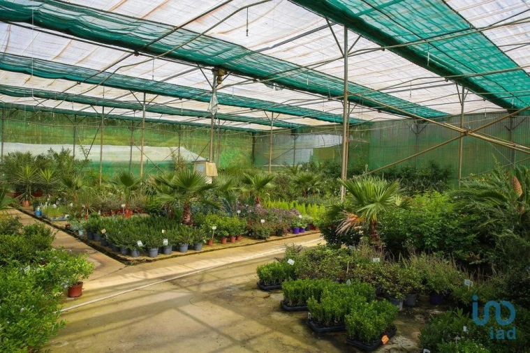 Loja para Venda em Ramalhal Foto 14