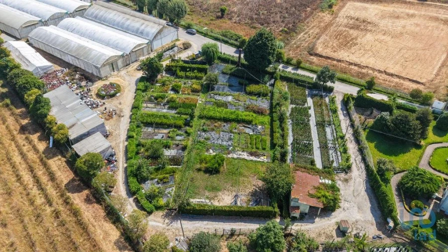 Loja para Venda em Ramalhal Foto 3