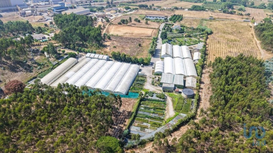 Loja para Venda em Ramalhal Foto 10