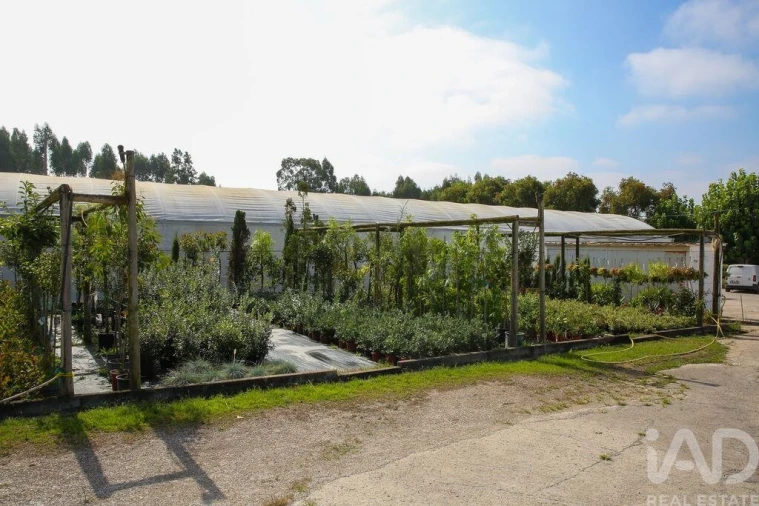 Loja para Venda em Ramalhal Foto 16