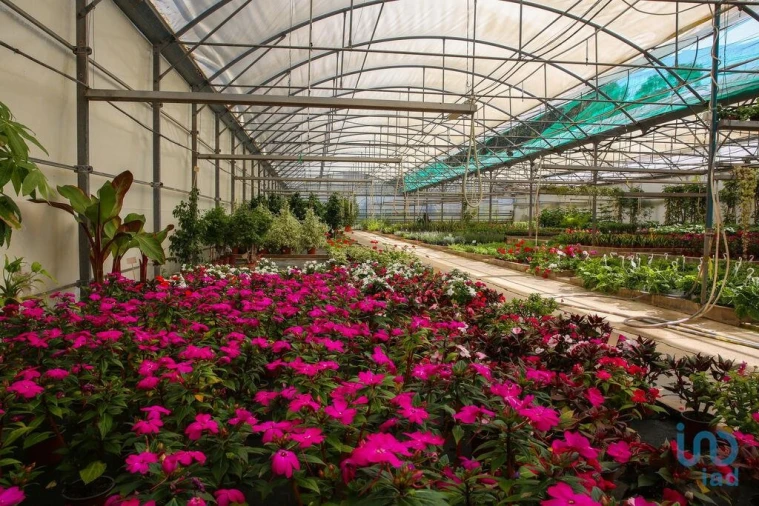 Loja para Venda em Ramalhal Foto 2