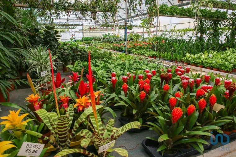 Loja para Venda em Ramalhal Foto 11