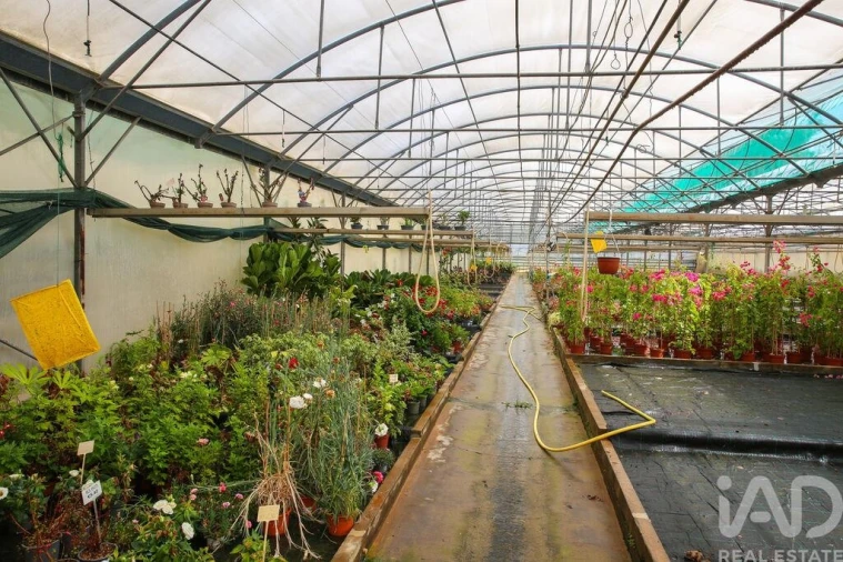 Loja para Venda em Ramalhal Foto 26