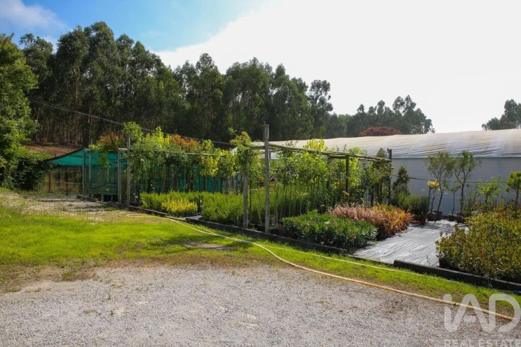 Loja para Venda em Ramalhal Foto 15