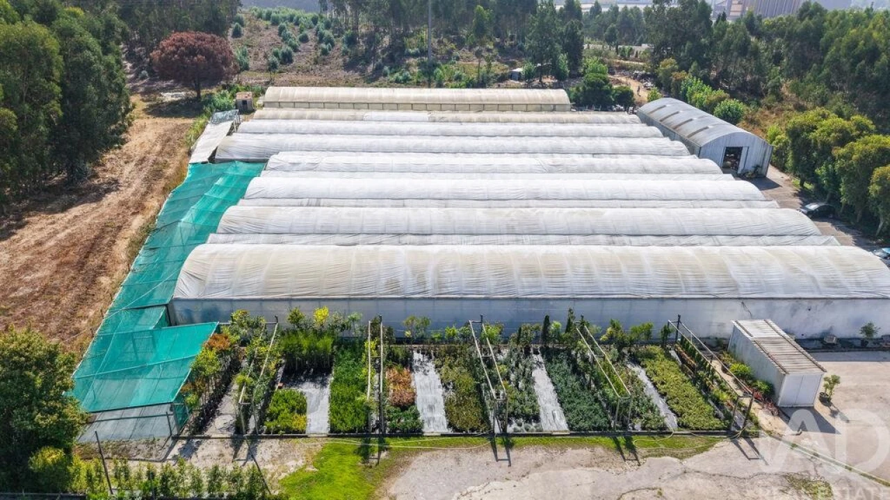 Loja para Venda em Ramalhal Foto 28