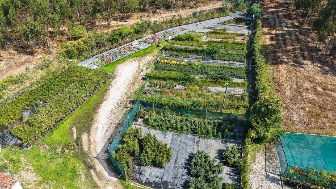 Loja para Venda em Ramalhal Foto 8