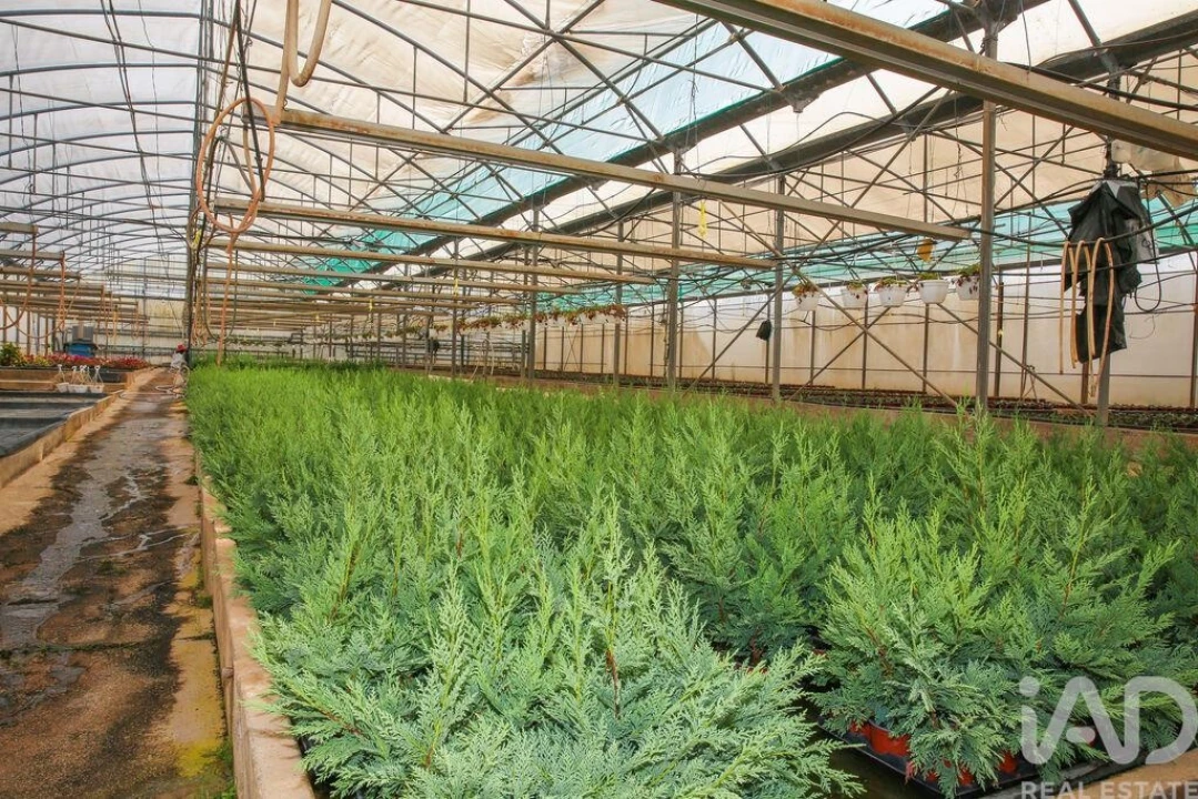 Loja para Venda em Ramalhal Foto 24