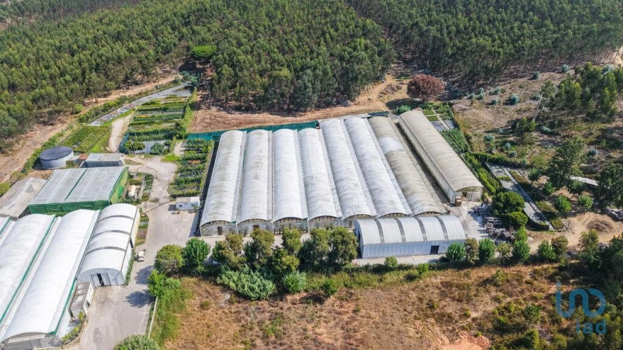 Loja para Venda em Ramalhal Foto 5