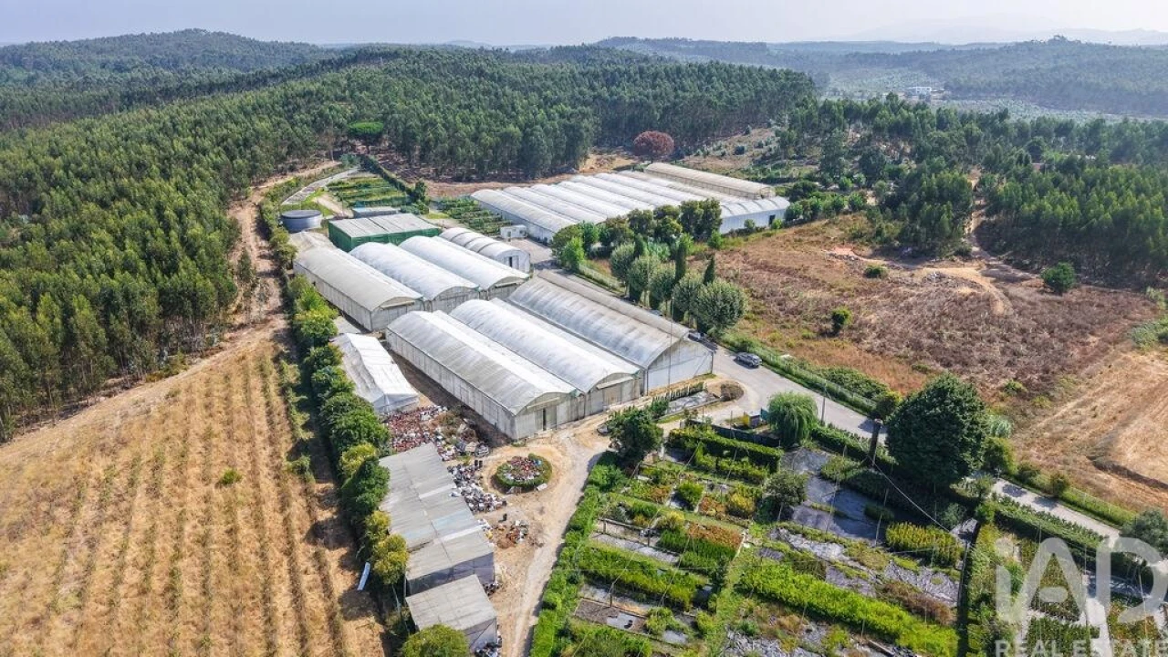 Loja para Venda em Ramalhal Foto 29