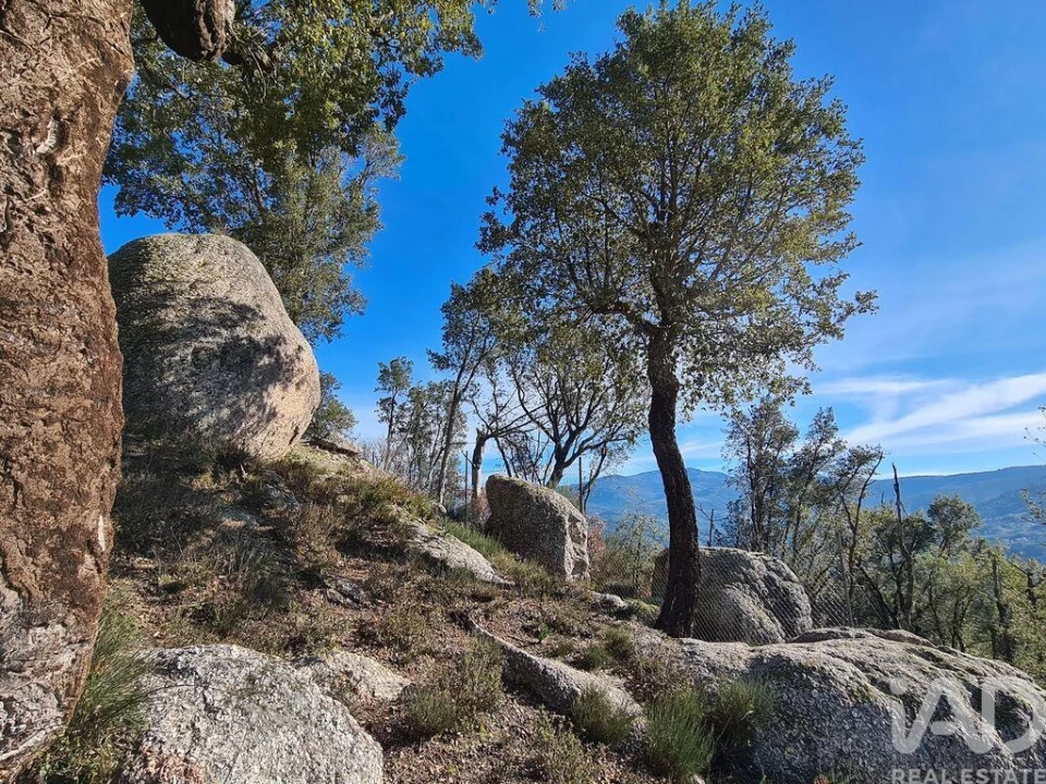 Moradia T2 para Venda em Lagos da Beira e Lajeosa Foto 7