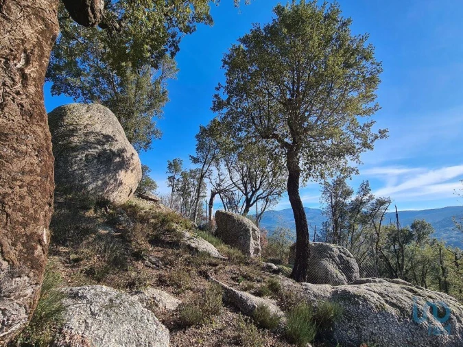 Quinta T2 para Venda em Lagos da Beira e Lajeosa Foto 6