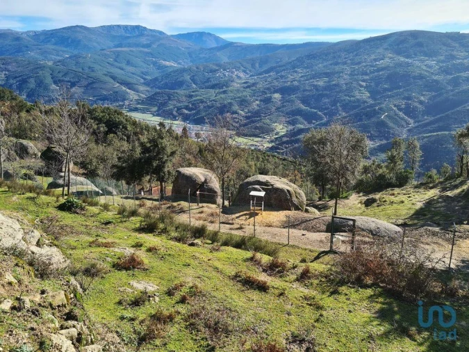 Quinta T2 para Venda em Lagos da Beira e Lajeosa Foto 9
