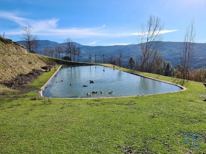 Quinta T2 para Venda em Lagos da Beira e Lajeosa