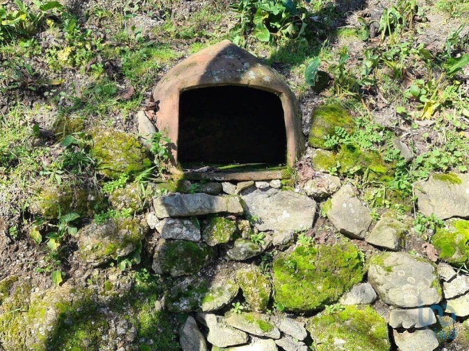 Quinta T2 para Venda em Lagos da Beira e Lajeosa Foto 11