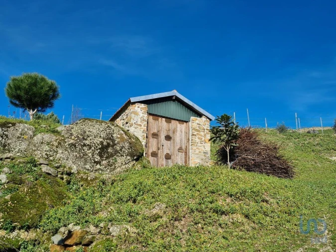 Quinta T2 para Venda em Lagos da Beira e Lajeosa Foto 5
