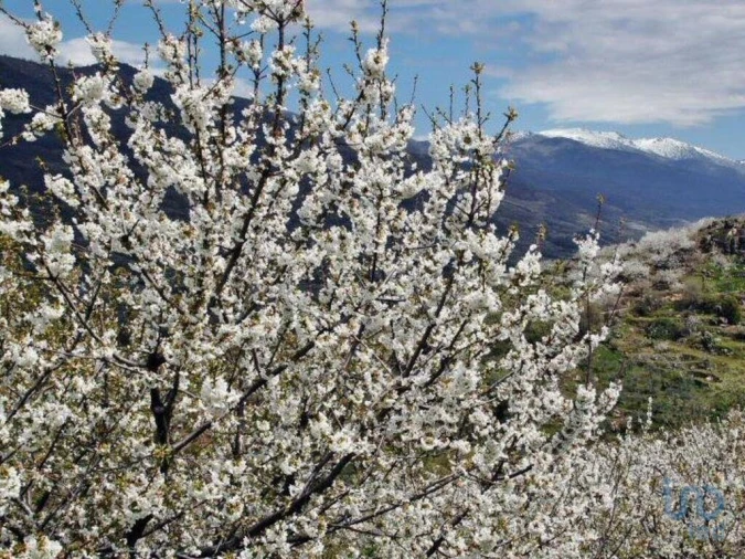 Quinta T2 para Venda em Lagos da Beira e Lajeosa Foto 13